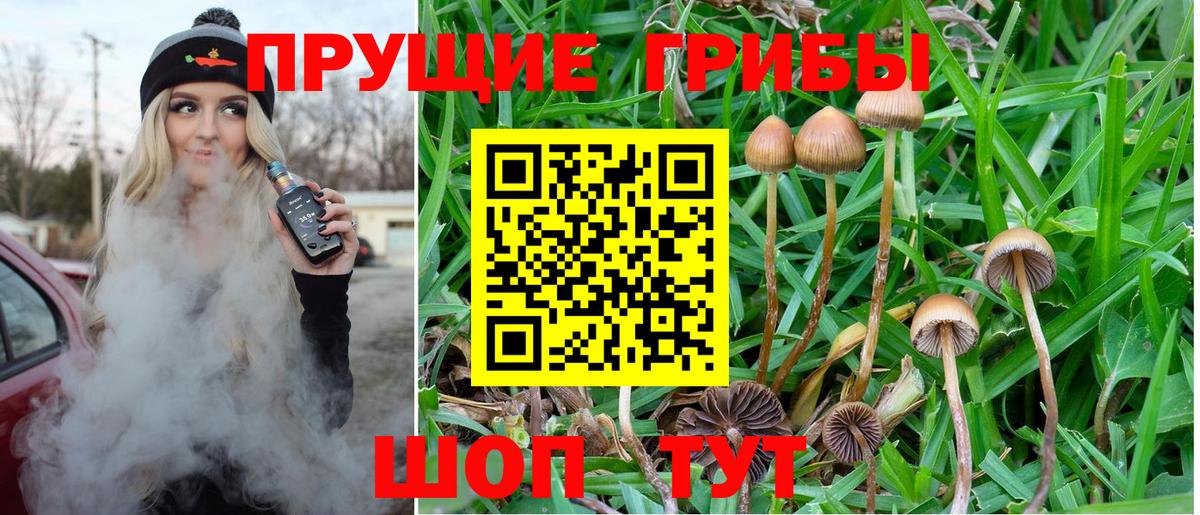 Галлюциногенные грибы ЛСД  Вход с VPN  Урюпинск 