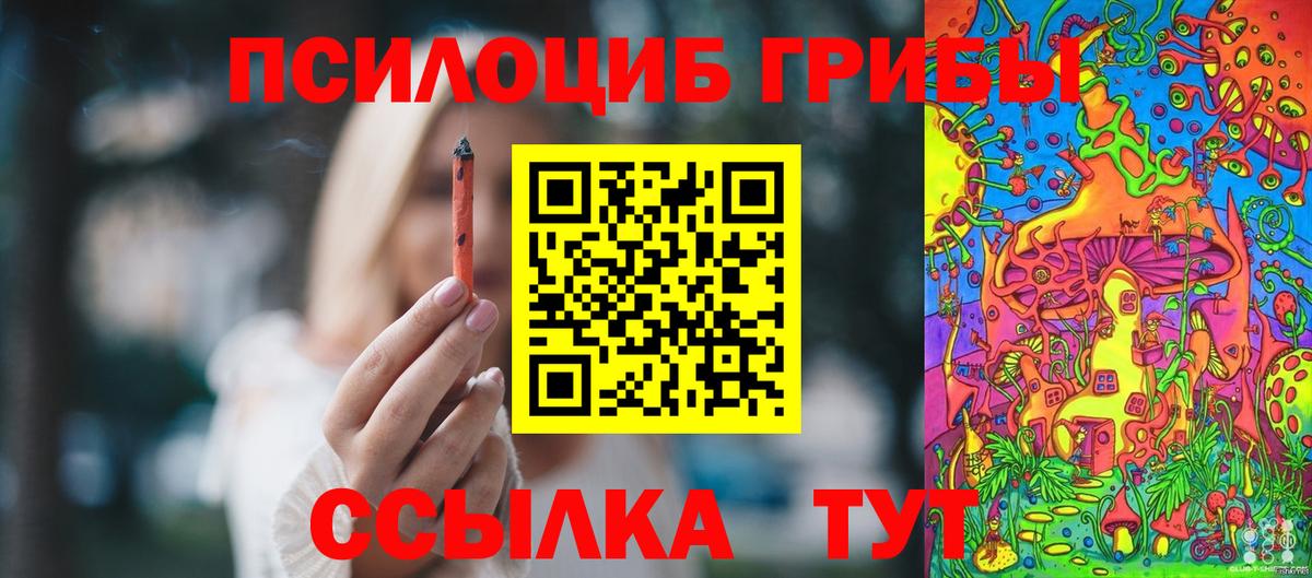Галлюциногенные грибы Psilocybine cubensis Урюпинск